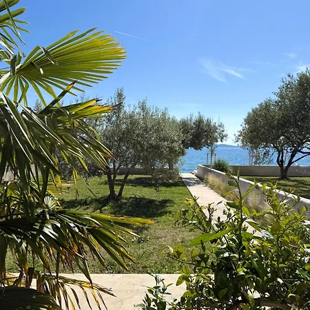 Lejlighed Beachfront Petar *